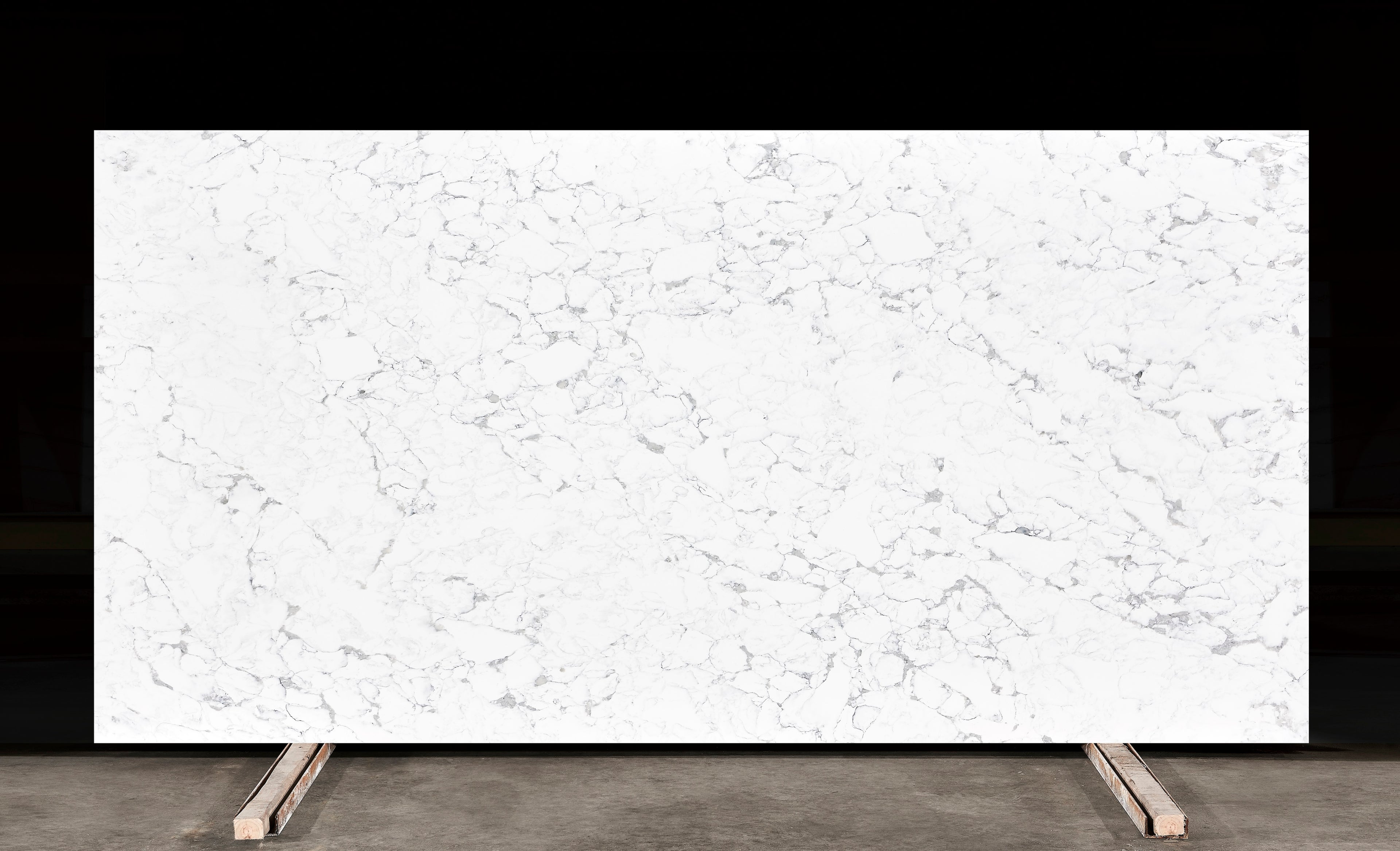 Calacatta Migora Super Jumbo Slabs Vietnam