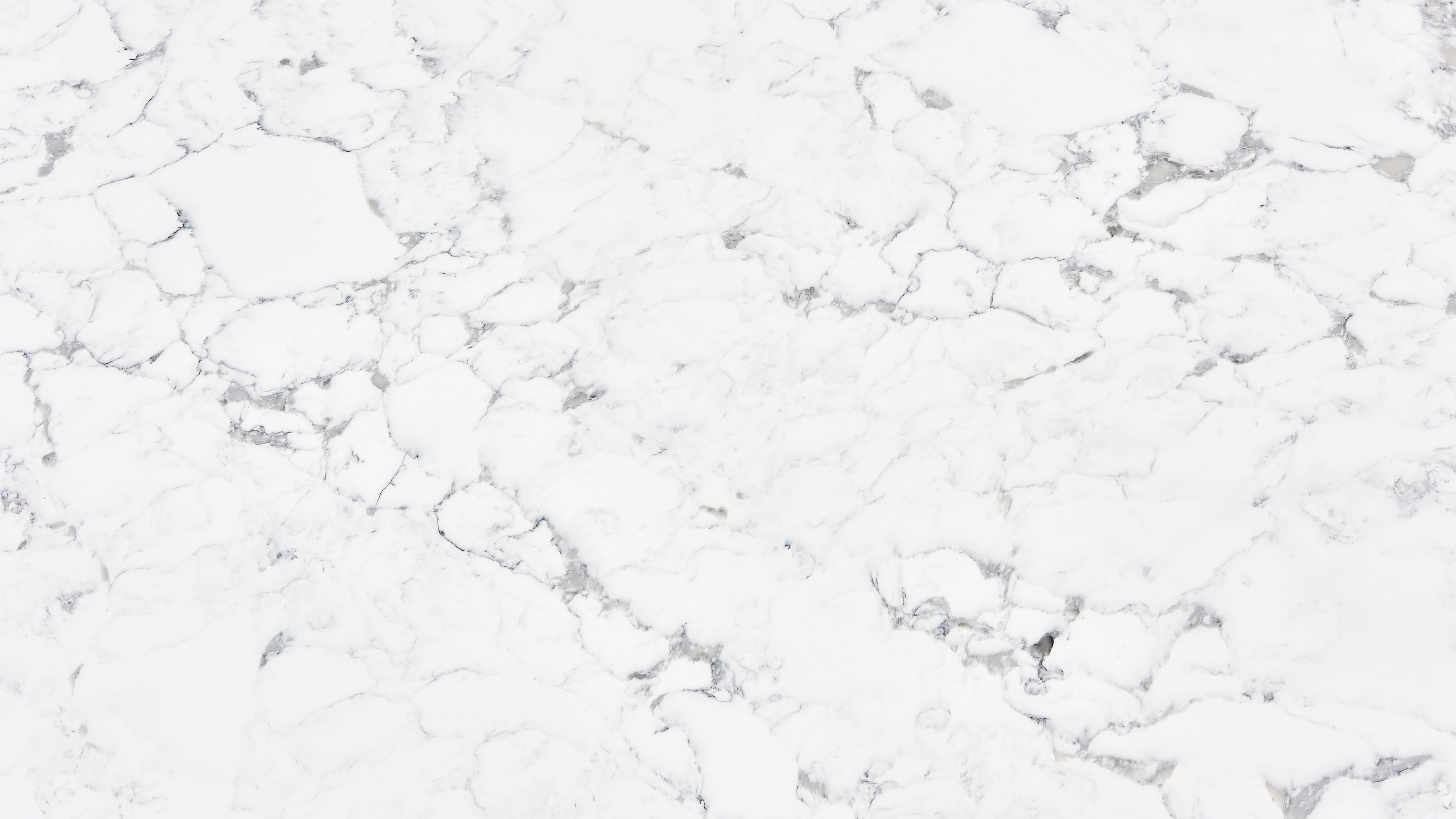 Calacatta Migora Super Jumbo Slabs Vietnam